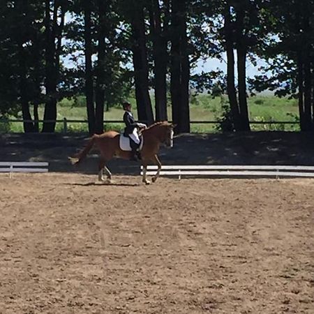 Sassi Talu Horsefarm Hotel Parnumaa Bagian luar foto