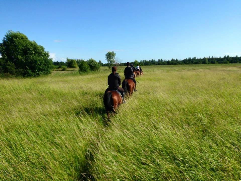 Sassi Talu Horsefarm Hotel Parnumaa Bagian luar foto