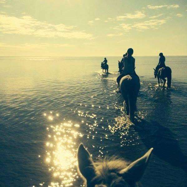 Sassi Talu Horsefarm Hotel Parnumaa Bagian luar foto