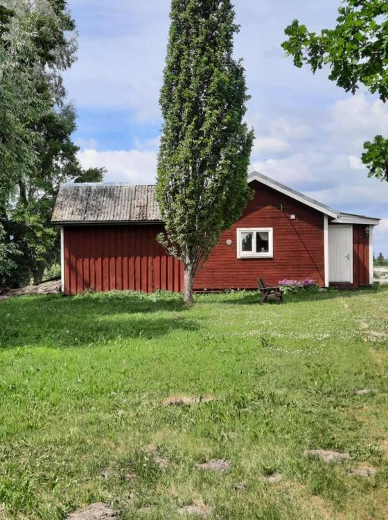 Sassi Talu Horsefarm Hotel Parnumaa Bagian luar foto